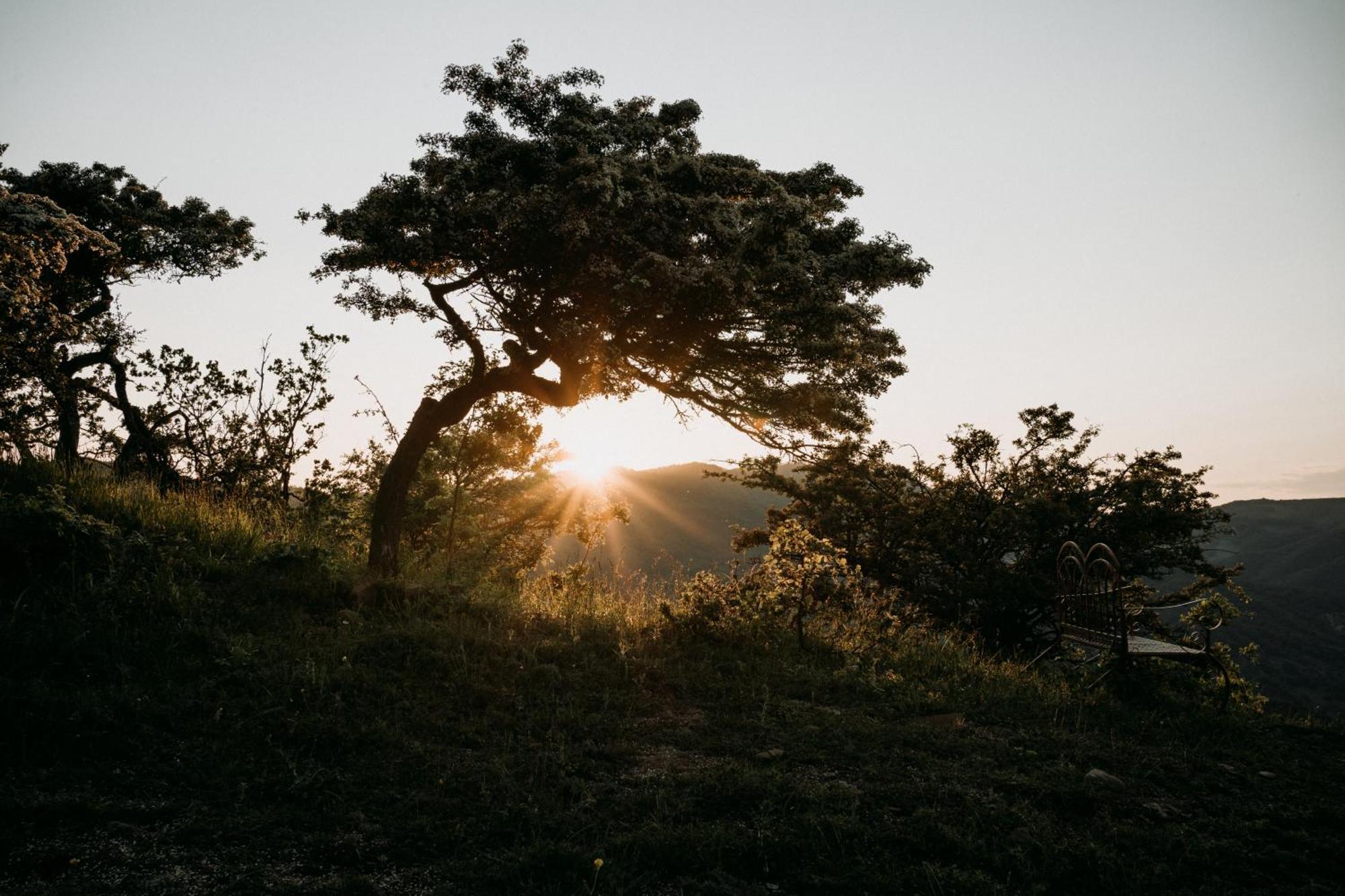 Aura - Glamping Experience Luxuszelt Accettura